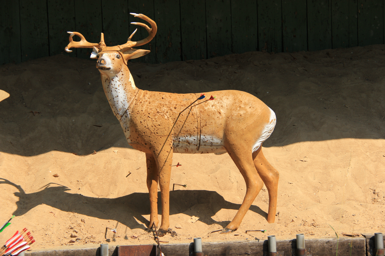 Bogenjagd010