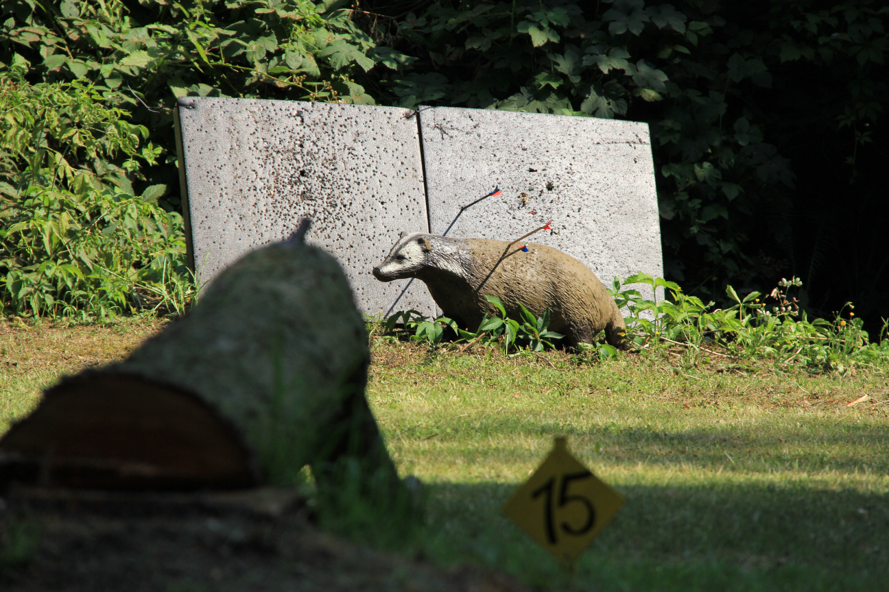 Bogenjagd015
