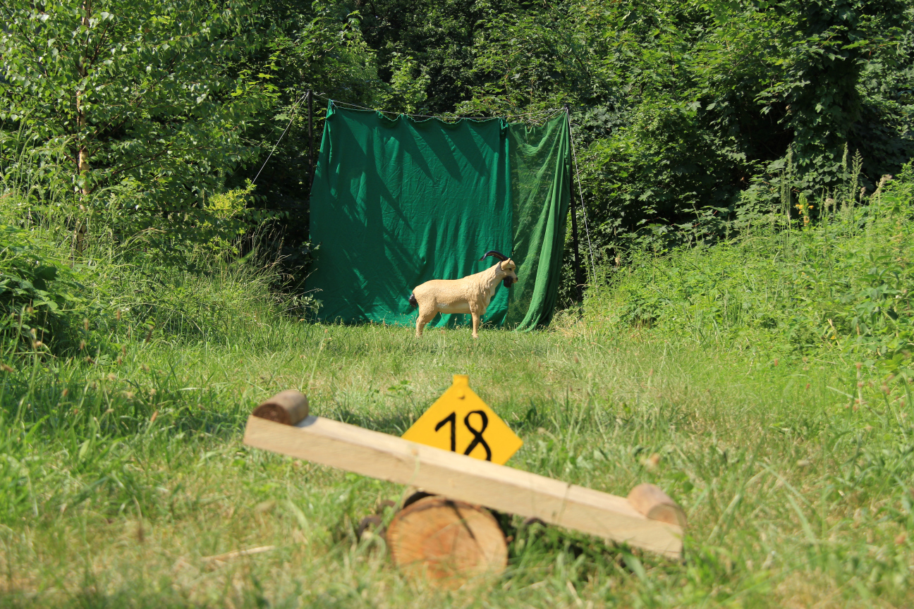 Bogenjagd019