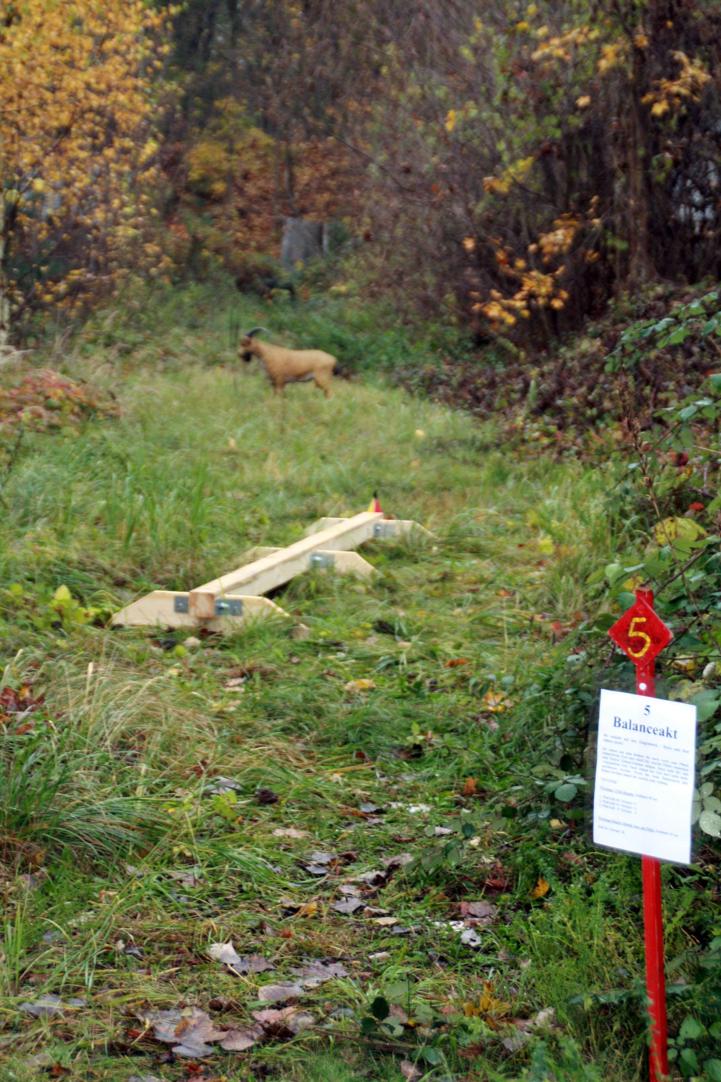 Bogenjagd 2016 010