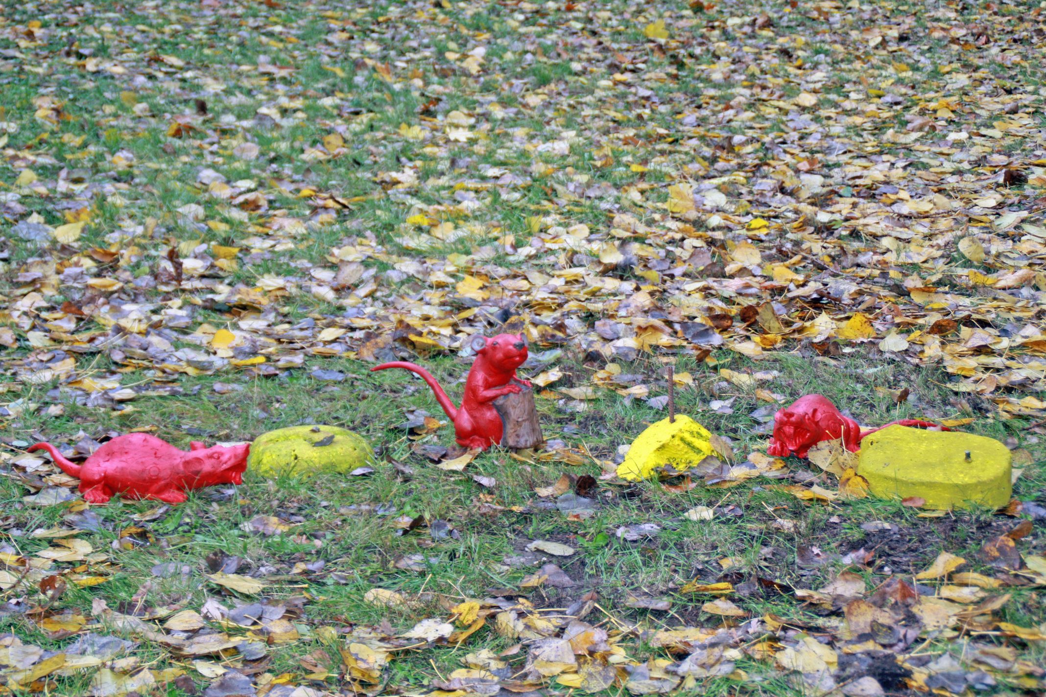 Bogenjagd 2016 011