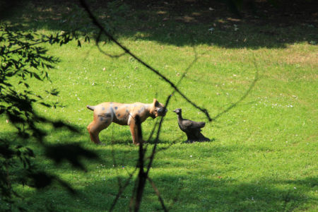 Bogenjagd013