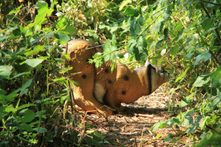 Bogenjagd016